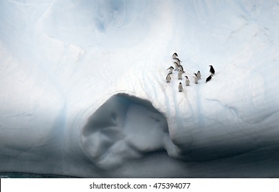 Closer Look To The Penguins On The Iceberg In The Drake Passage