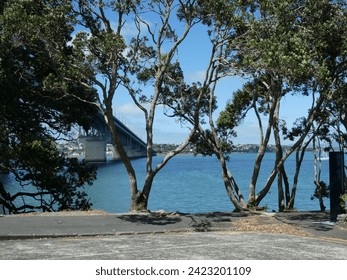 A closer up of the view between the trees.