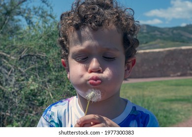 Close-up Of 4 Year Old Caucasian Little Boy With Curly Hair Blowing Dandelion Flower