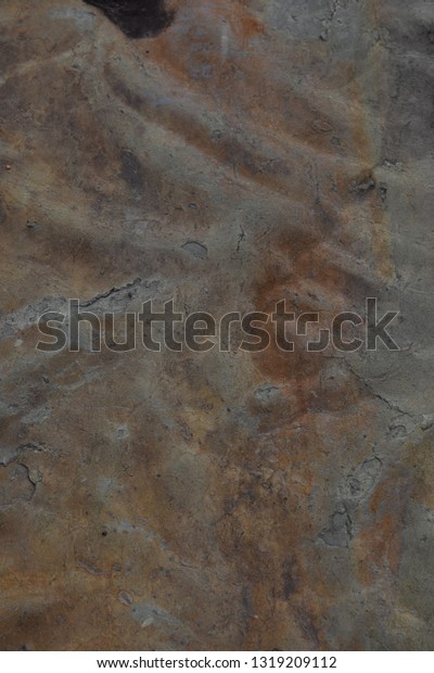 Closeup Abstract Shale Texture Background Lines Stock Photo 1319209112 ...