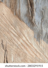 Closeup abstract texture of spilt tree log with distinct two tone natural wood grain