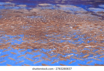 Close-up abstract texture of a weathered, rusty blue diamond plate metal sheet covered with sparkling water droplets after rainfall