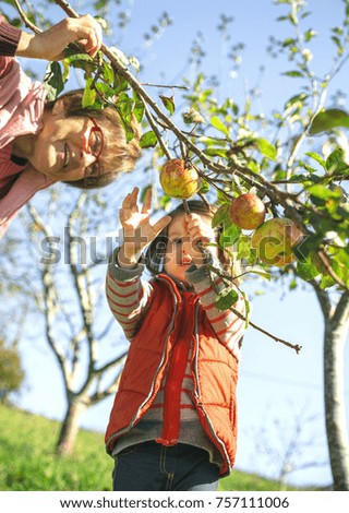 Similar – Senior woman and little girl picking apples from tree