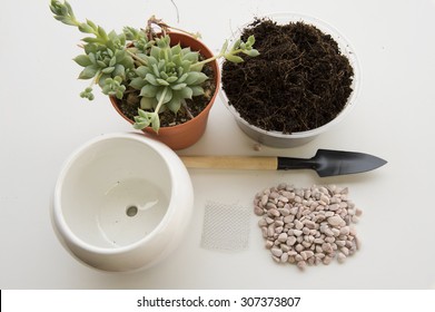 Closeup Aerial View Of Basic Gardening Items Required For Re-potting. The Growing Plant, A Larger Pot, Small Piece Of Wire Net, Mix Soil, A Mini Spade For Easy Handling And Some Small Stone For Decor.