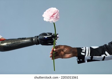 Close-up Of African Man Giving Flower To Woman With Prosthetic Arm Isolated On Blue Background