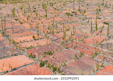 Close-up of aged red brick pavers in a herringbone pattern, showing signs of age and irregularities Vegetation is growing through gaps, suggesting an old street or walkway No text present - Powered by Shutterstock