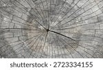 Close-up of an aged tree stump cross-section showing detailed growth rings and deep radial cracks, creating a natural wood texture background.