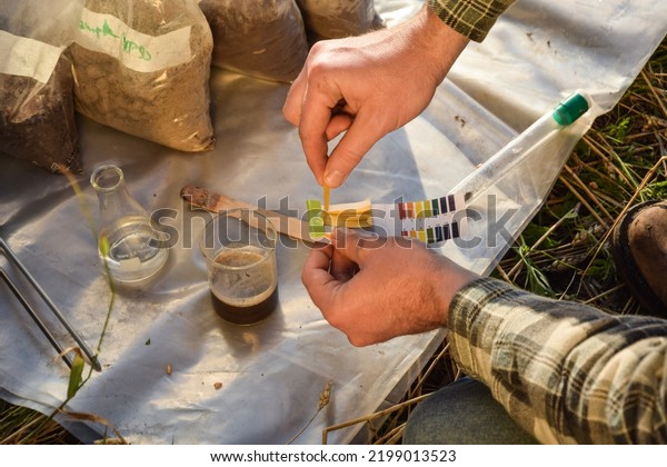 Closeup of\
agronomy specialist testing soil sample ph value outdoors, using\
laboratory equipment, performing soil certification at agricultural\
grain field sunrise. Environment\
research.