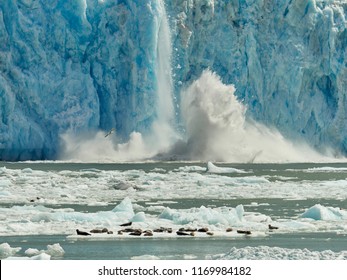 Close-up Of An Alaskan Glacier Calving