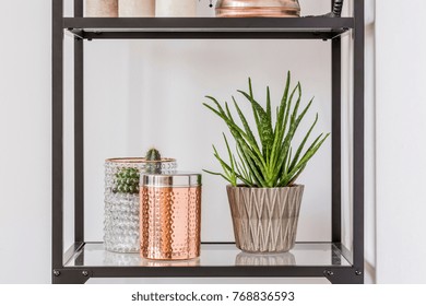 Close-up of aloe plant in patterned pot and copper box on glass shelf