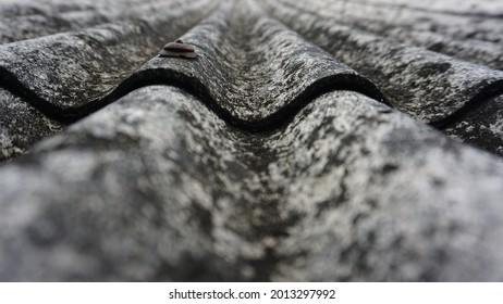 The Close-up Of Asbestos Roof