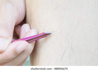 Closeup Asian Woman Use Tweezers For Plucking Hairy Leg