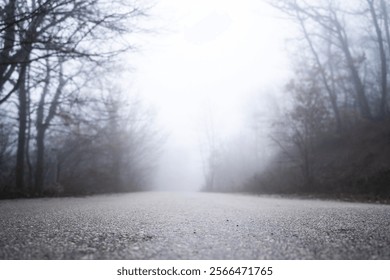 Close-up of an asphalt road in the dark misty forest on a cloudy day. Scene view of an autumn roadway with silhouettes of tall trees. Foreground focus. Blurred background of park in foggy weather. - Powered by Shutterstock