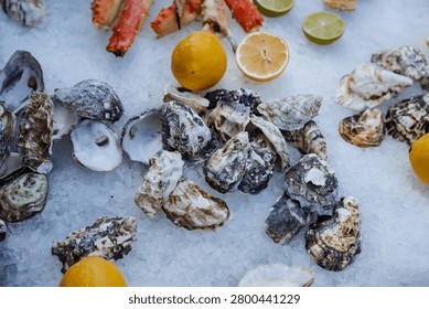 Close-up of assorted oyster shells arranged on a bed of crushed ice with whole and halved lemons and visible crab legs at the top edge. Natural shell textures, irregular shapes