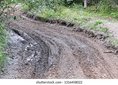 Closeup Of Atv Tracks On A Wet Muddy Trail