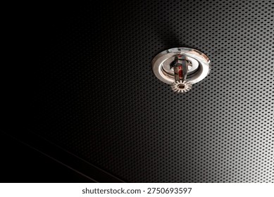 Close-up of an automatic fire sprinkler head installed on a ceiling panel, part of a building fire protection system designed for emergency fire suppression and safety.