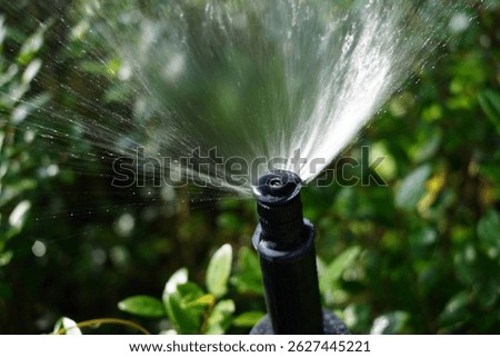 Close-up of an automatic sprinkler head spraying water in a garden.