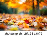 A close-up of autumn leaves scattered on the ground, displaying a warm palette of 
earthy tones falling to the ground in city park