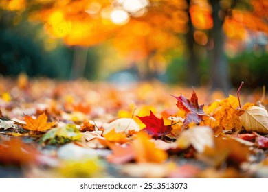 A close-up of autumn leaves scattered on the ground, displaying a warm palette of 
earthy tones falling to the ground in city park - Powered by Shutterstock