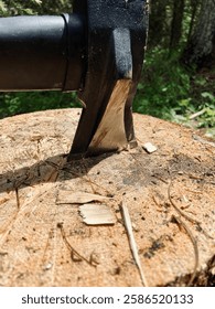 closeup of axe inside wood