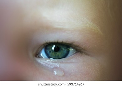 Close-up Of Baby Eye With Teardrop Under It