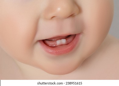 زينة الحياة الدنيا .. - صفحة 64 Closeup-baby-mouth-two-rises-260nw-238951615