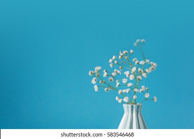 Closeup Baby's breath - gypsophilia paniculata - in vase on blue background. - Powered by Shutterstock