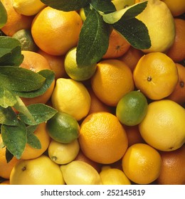 Closeup background of citrus - Shutterstock ID 252145819
