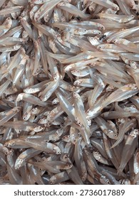 Close-up background texture of freshly caught small silverfish or whitebaitpiled high for sale at a local fish market, ready to be used as fresh seafood ingredients.