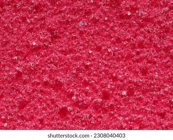 close-up, background, texture, large horizontal banner. heterogeneous surface fine pore structure bright saturated red pumice stone for finger care. full depth of field. high resolution photo - Shutterstock ID 2308040403