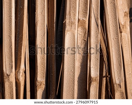 Close-up background texture of multiple split raw bamboo stalks arranged vertically in rows.