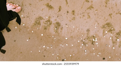 Close-up background of yellow fine sand grain texture and seashells, top view of sand detail texture background, bare leg on left. - Powered by Shutterstock