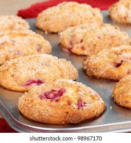 Closeup Of Baked Cranberry Muffins In A Muffin Tin