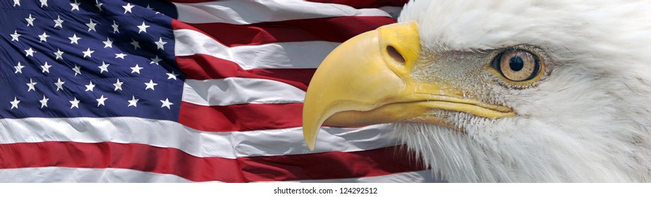 American Flag Eagle Images Stock Photos Vectors Shutterstock