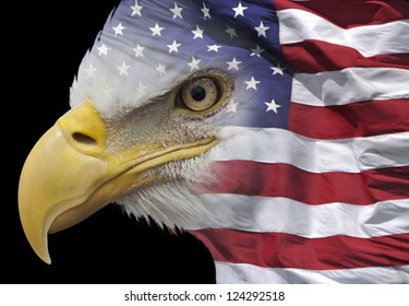 Closeup Of A Bald Eagle Combined With US Flag