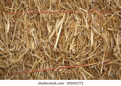 A close-up of a bale of hay - Powered by Shutterstock