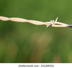 Closeup of Barbed Wire