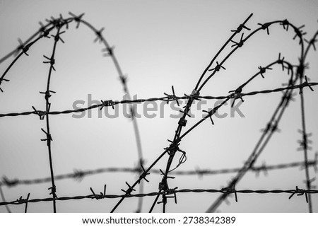 Close-up of barbed wire fence with sharp twisted strands silhouetted against blurred gray background, conveying security, restriction, and danger.