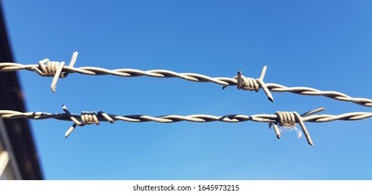 Closeup Barbed Wire Fencing Contractors , Barbed Wire Manufacturers 