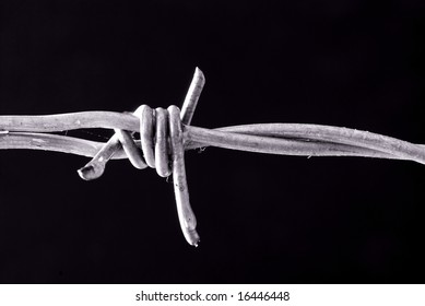 close-up of barbed wire with water dripping from barbs - Powered by Shutterstock