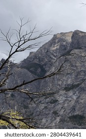 Close-up of bare, leafless tree branches in the foreground against a dramatic, rugged mountain peak under a cloudy sky