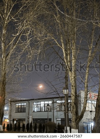 Close-up of bare trees and a crescent moon above a quiet building at night.