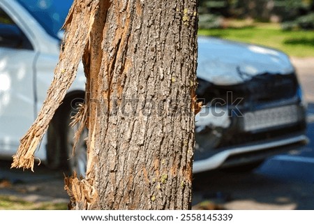 Close-up of bark damage on tree with wrecked car in the background, impact of vehicle collision and the resulting destruction. Damaged tree and wrecked car on background after front-end collision