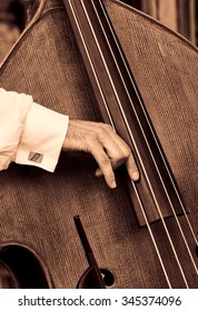 A Closeup Of A Bass Fiddle With The Hand Of The Musician.