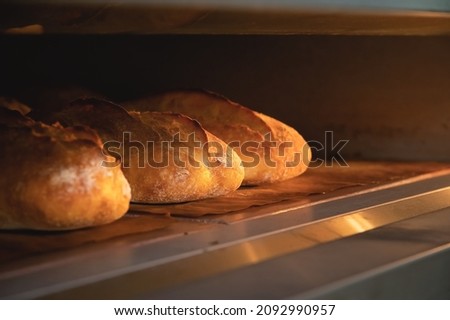 Close-up Batch of fresh buns of artisan bread baked in an oven in cooking and eating concept