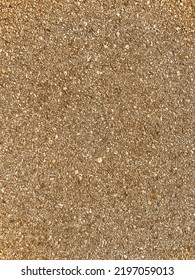 A Closeup Beach Sand Ocean Low Time Sandy Shore Sea Crushed Rock Shells Overhead Vertical