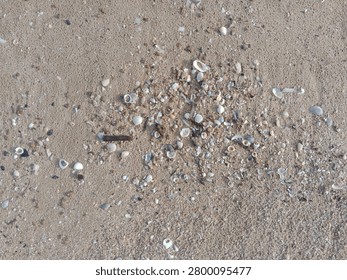 Close-up of beach sand scattered with tiny seashell fragments creating a natural coastal texture. Perfect for summer, marine, travel, and seaside background designs.