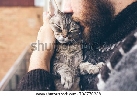 Close-up of beard man in icelandic sweater who is holding and kissing his cute purring Devon Rex cat. Muzzle of a cat and a man's face. Love cats and humans. Relationship, weasel.