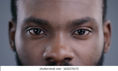 Close-up Of Beautiful Black Man Eyes Staring At Camera. Portrait Detail Of Serious Confident African American Man.