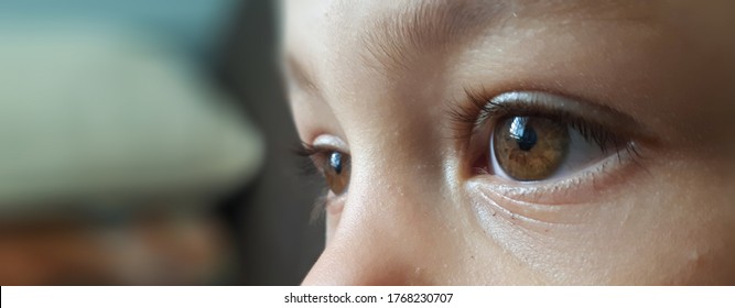 Closeup Of Beautiful Boy Eye Banner. Child Eye Background.